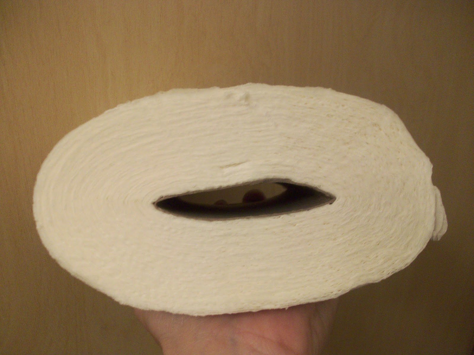 BigFamiliesBigIdeas Tip Of The Day Save Toilet Paper by Smashing the Roll